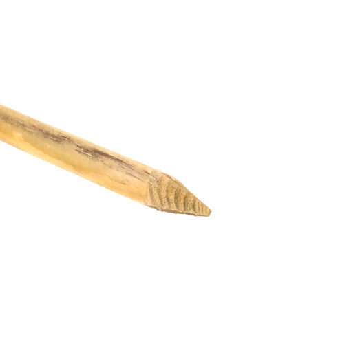 Picture of 50 x 50 x 450mm Pointed Peg - Treated