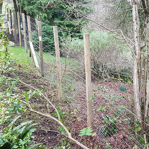 Picture of 2.0m x 50m Deer Fencing - L23/200/15